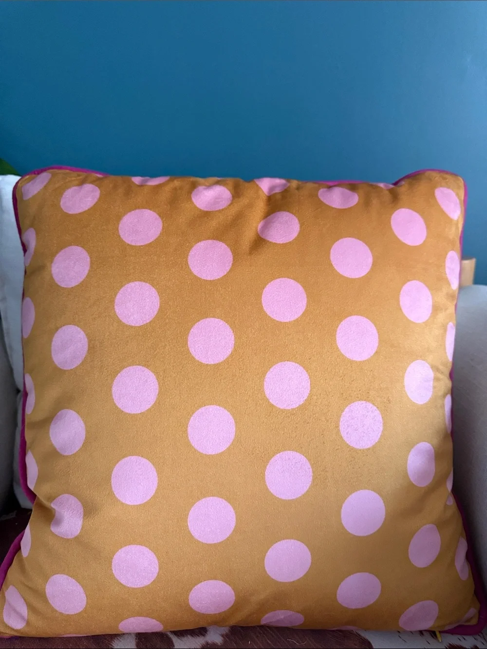 Anthropologie Coquette White Cat Velvet Pillow